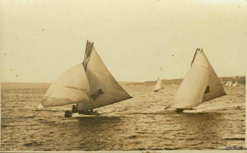Postcard featuring a photograph of two skiff sailing, with other skiffs visible in the background
