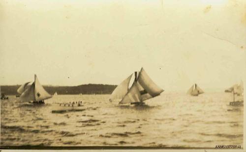 Postcard featuring a photograph of three skiffs sailing, with possibly a row boat beside them in the water