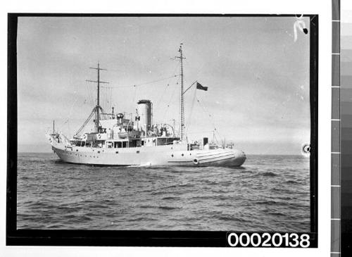 HMAS KANGAROO