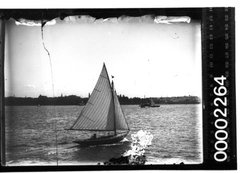 Yacht off Farm Cove