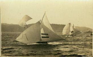 Postcard featuring a photograph of two skiffs sailing on the water, with passenger vessels visible on the far right hand side, and land in the background