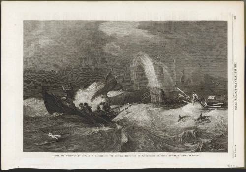 SOUTH SEA WHALING by Oswald W. Brierly in the General Exhibition of Watercolour drawings, Dudley Gallery