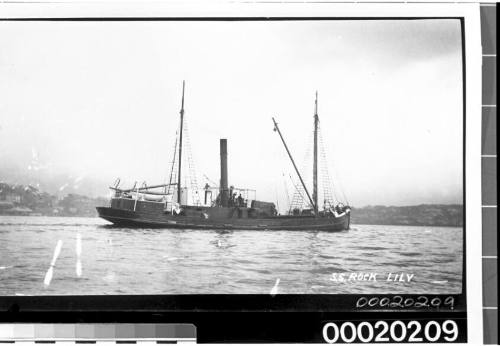 SS ROCKLILY in a harbour