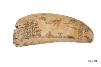 Whaling scene and a tropical island - scrimshawed whale tooth