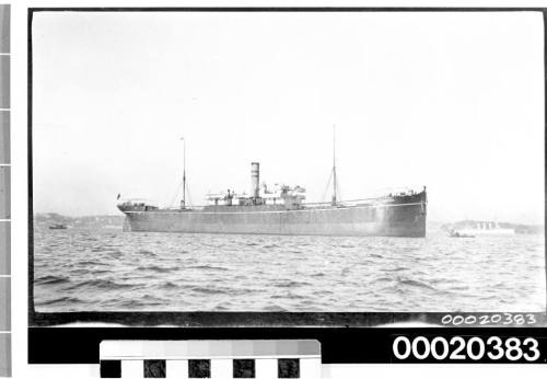 SS HAMPTON, possibly near Port Jackson in Sydney