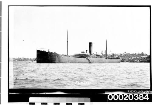 SS SUNGARI, possibly near Port Jackson in Sydney