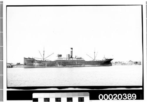 SS LORD CROMER, possibly near Port Jackson in Sydney