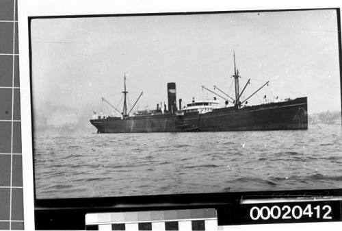 SS ANGLO-SAXON, possibly near Port Jackson in Sydney