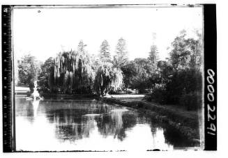 View of pond in Botanic Gardens, Sydney