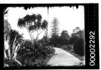 View of Botanic Gardens, Sydney