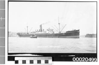 SS NORMAN MONARCH possibly near Kirribilli in Sydney