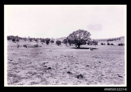 Grassed paddocks with white house