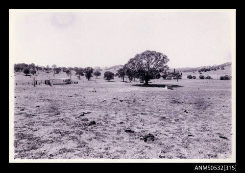 Grassed paddocks with white house