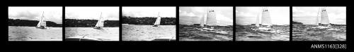 Strip of negatives depicting a Catamaran 5194 sailing