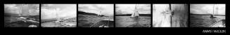 Strip of negatives depicting a Catamaran 5194 sailing