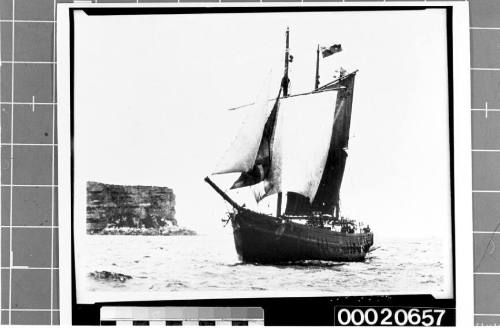 Barquentine passing North Head