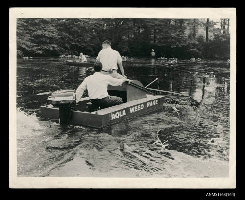 The Aqua weed rake of a small punt- style boat with Evinrude outboard engine