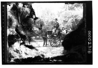 Three women in a carriage, liveried driver