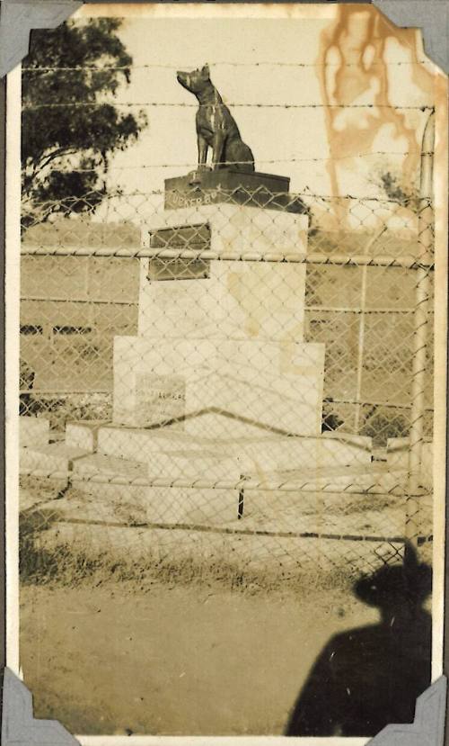 The Dog on the Tuckerbox monument at Gundagai