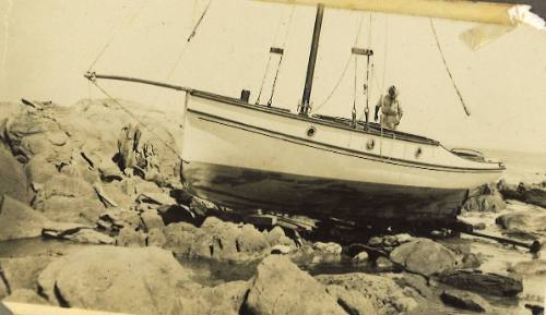 MALUKA sitting high and dry on rocks