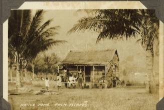 Native home - Palm Islands
