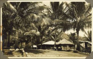Bungalows at Palm Island