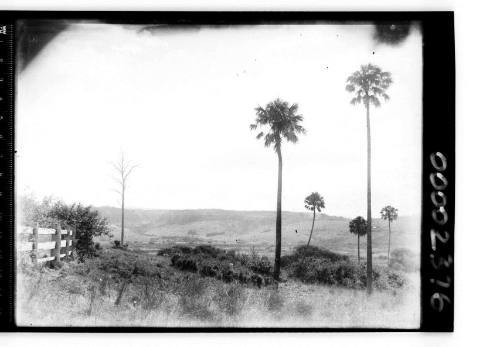 Valley and tree covered hills, south coast of New South Wales