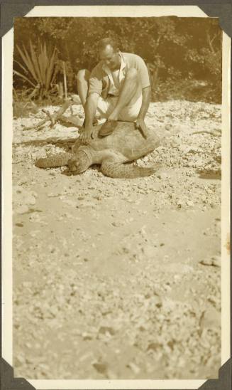 George Clark seated on a turtle at Magnetic Island