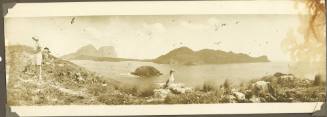 A coastal landscape in Lord Howe Island