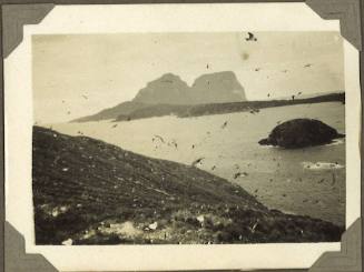 Birds at Lord Howe Island