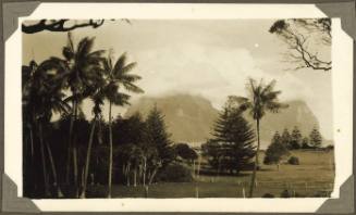 A Queensland landscape