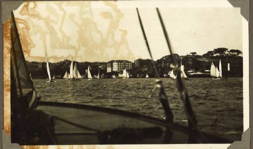 A yacht race in Sydney Harbour