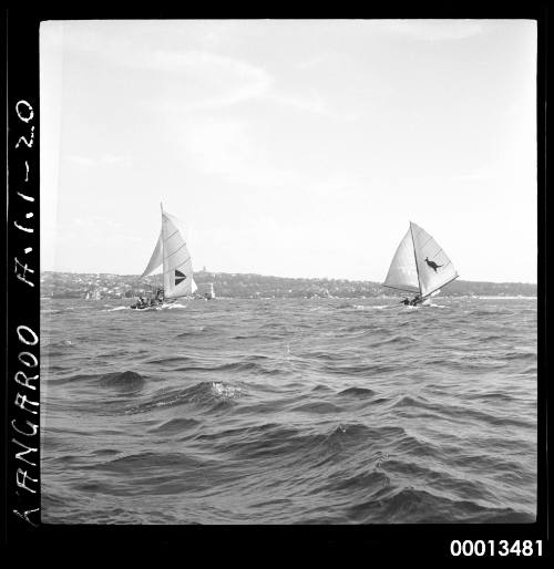 18-foot skiff KANGAROO on Sydney Harbour