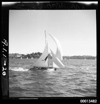 18-foot skiff KANGAROO on Sydney Harbour