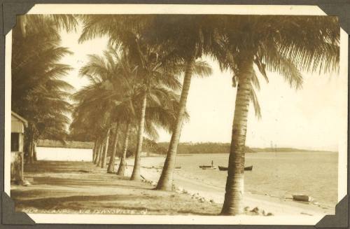 A landscape in Palm Islands, Townsville