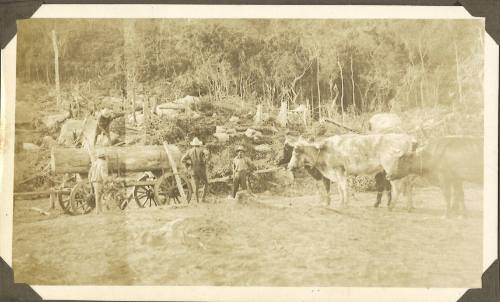 A group of loggers