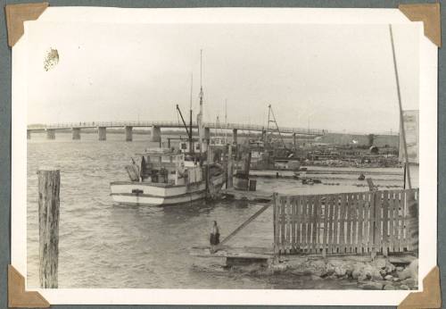 Moored boats