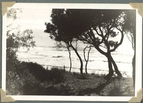 A coastal landscape