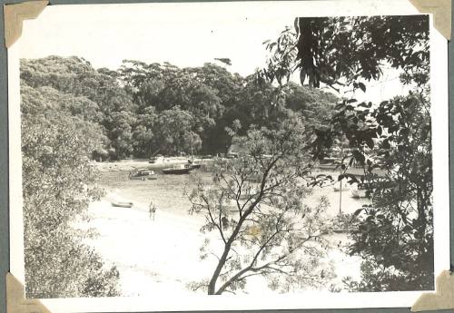 A view of Store Beach, Sydney Harbour