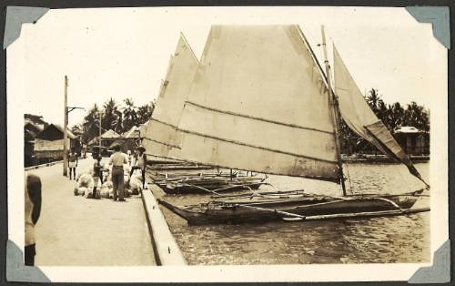 A waterfront with Outrigger style boats moored