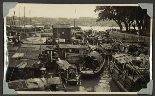 Numerous boats in Shanghai