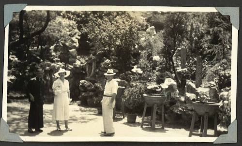 A couple in a garden