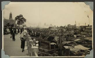 A view of Shanghai's harbour