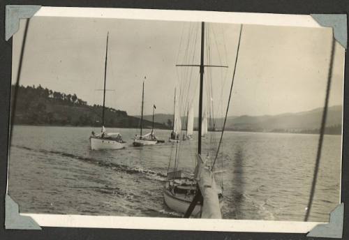 Yachts sailing on the Derwent River