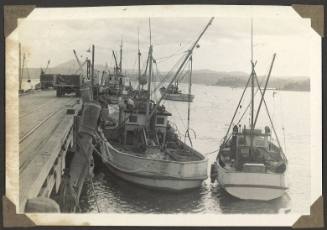 Fishing trawlers, Tasmania