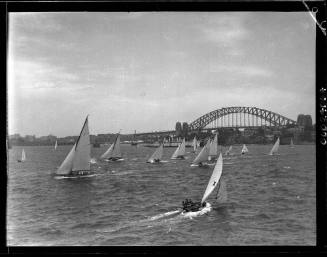 Anniversary Regatta on Sydney Harbour