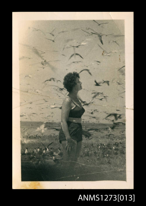 A woman surrounded by flying birds