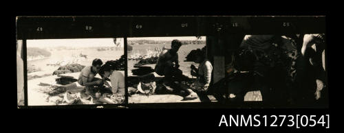 Strip of Paper negatives, consisting of three images of Yurie (or Yulie) George and a man working on a pearl cage