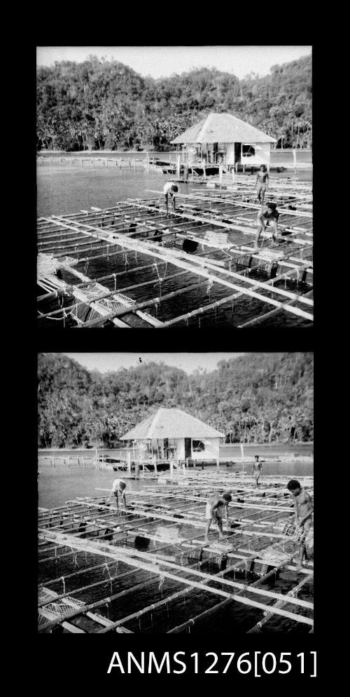 Pearl production wooden raft and lab on Pearl Island, with people working on the raft