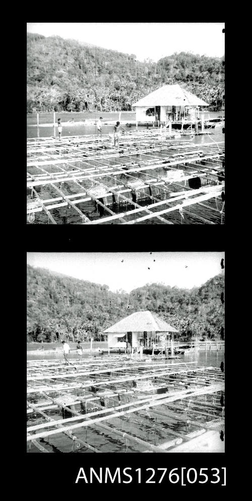 Pearl production wooden raft and lab on Pearl Island, with people working on the raft